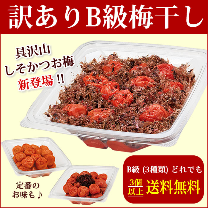 期間限定 訳ありb級 お得パック梅干し6ｇ 梅干し 紀州 梅干 の通販は梅翁園 ばいおうえん