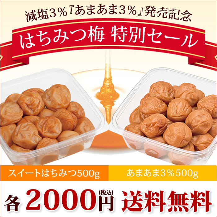 紀州南高梅【はちみつ梅特別セール】お味選べる2種類！送料無料 ご家庭用エコパック500g2000円｜梅干し・紀州 梅干 の通販は梅翁園．（ばいおうえん）