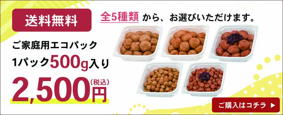 ご家庭用エコパック500g