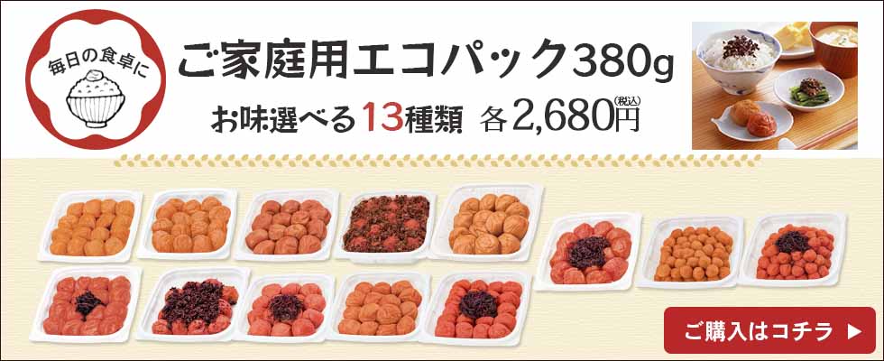 ご家庭用エコパック380g