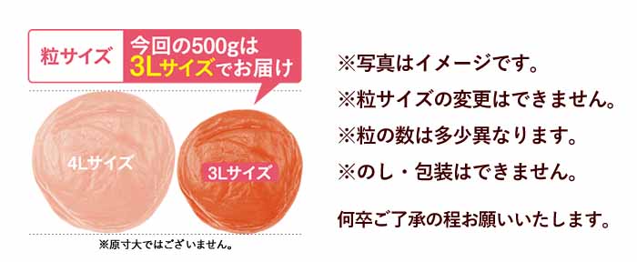 【特別企画】大粒 スイートはちみつ500g