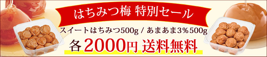 梅干し、南高梅、梅酒、梅製品のおすすめランキング｜梅干しの通販は梅翁園．