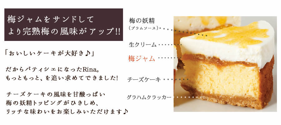 Rina S Room Rinaのチーズケーキ 完熟南高梅を使った手作りお菓子 梅翁園 ママ工房