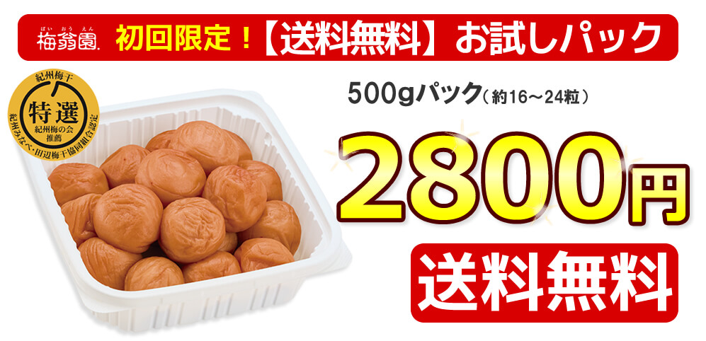 初回限定！送料無料お試し　スイートはちみつ 500g