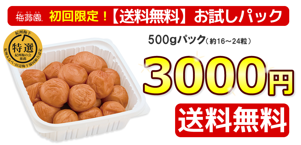 初回限定!送料無料お試し スイートはちみつ 500g